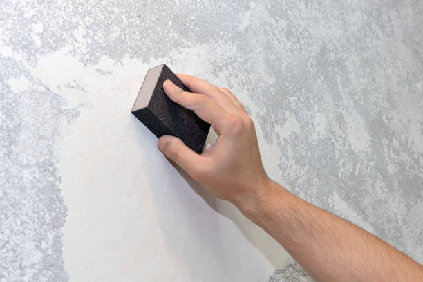 Best Basement Mold Removal  in Slater Marietta, SC