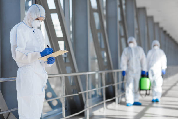 Best Industrial Mold Remediation  in Slater Marietta, SC