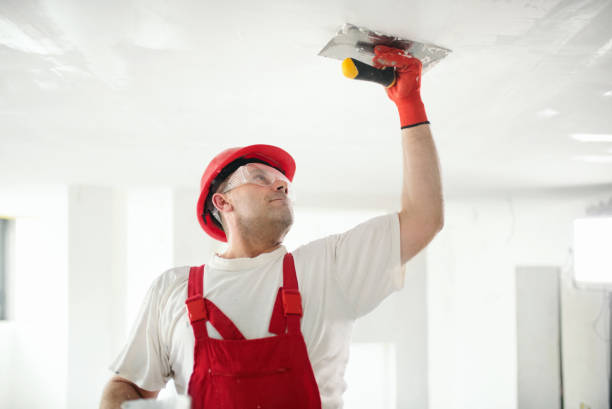 Best Residential Mold Inspection & Testing  in Slater Marietta, SC