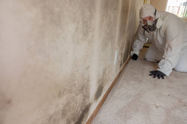 Best Real Estate Mold Inspection  in Slater Marietta, SC