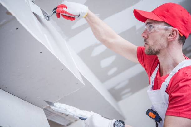 Trusted Slater Marietta, SC Mold Removal Experts