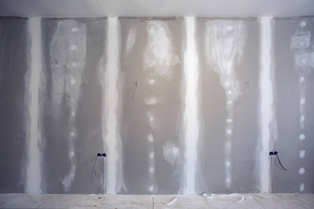 Best Commercial Mold Inspection  in Slater Marietta, SC